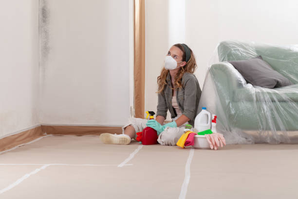 Reliable Mold Cleanup contractor in Riverdale, GA by WQB Mold Removal