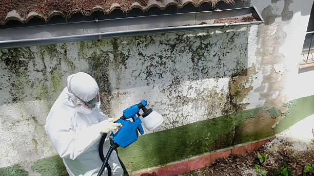 Top rated local Mold Cleanup specialists in Riverdale, GA